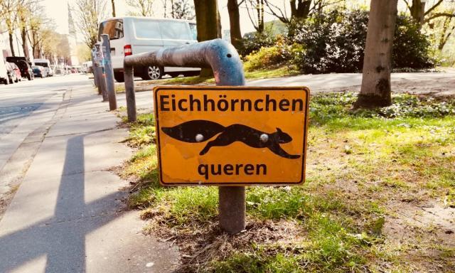 Schild mit Hinweis auf Eichhörnchen die die Straße überqueren in Hamburg