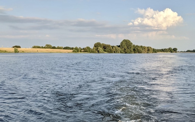 Blick über die Elbe vom Floß aus